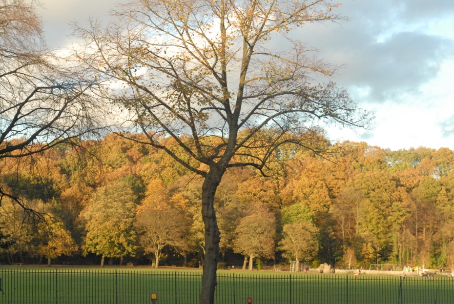 Photos – Jacob Tomlinson			
					</div><!-- .entry-content -->
		
		<footer>
		
		
		
					
					</footer><!-- .entry-meta -->
	</article><!-- #post -->
				
											
				
		
<hr class=