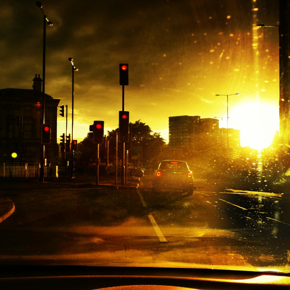 Photo from the field			
					</div><!-- .entry-content -->
		
		<footer>
		
		
		
					
					</footer><!-- .entry-meta -->
	</article><!-- #post -->
				
											
				
		
<hr class=