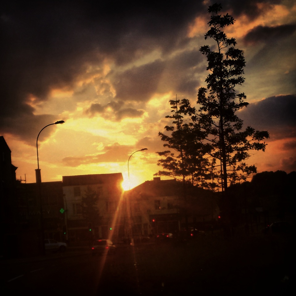 Photo from the field			
					</div><!-- .entry-content -->
		
		<footer>
		
		
		
					
					</footer><!-- .entry-meta -->
	</article><!-- #post -->
				
											
				
		
<hr class=