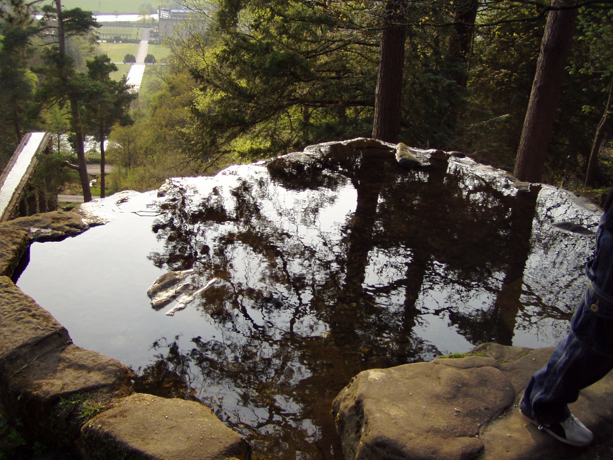 Photo from the field			
					</div><!-- .entry-content -->
		
		<footer>
		
		
		
					
					</footer><!-- .entry-meta -->
	</article><!-- #post -->
				
											
				
		
<hr class=