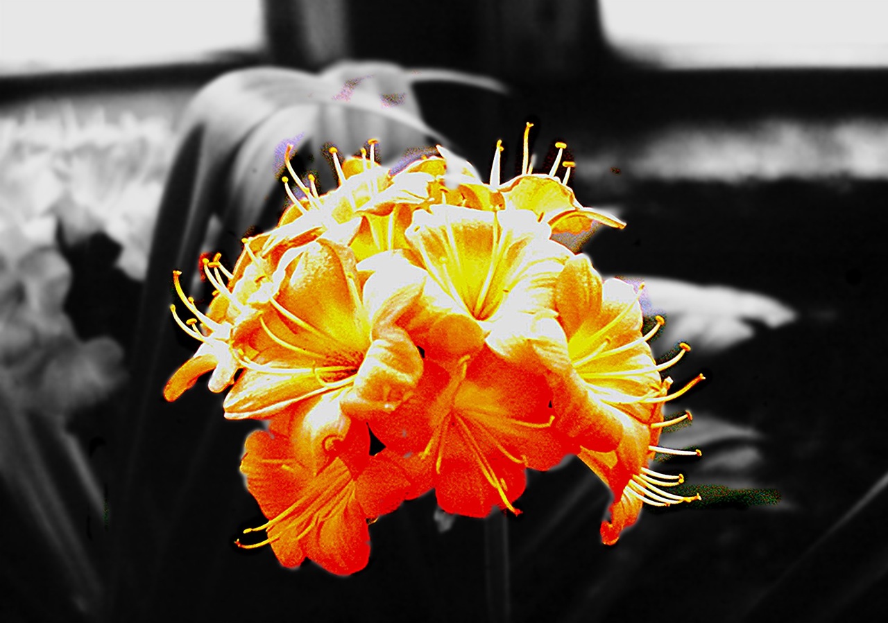 Sheffield			
					</div><!-- .entry-content -->
		
		<footer>
		
		
		
					
					</footer><!-- .entry-meta -->
	</article><!-- #post -->
				
											
				
		
<hr class=