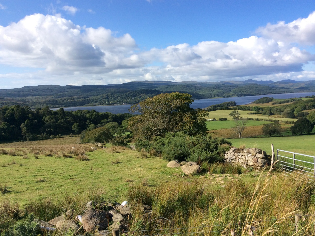 Photo from the field			
					</div><!-- .entry-content -->
		
		<footer>
		
		
		
					
					</footer><!-- .entry-meta -->
	</article><!-- #post -->
				
											
				
		
<hr class=