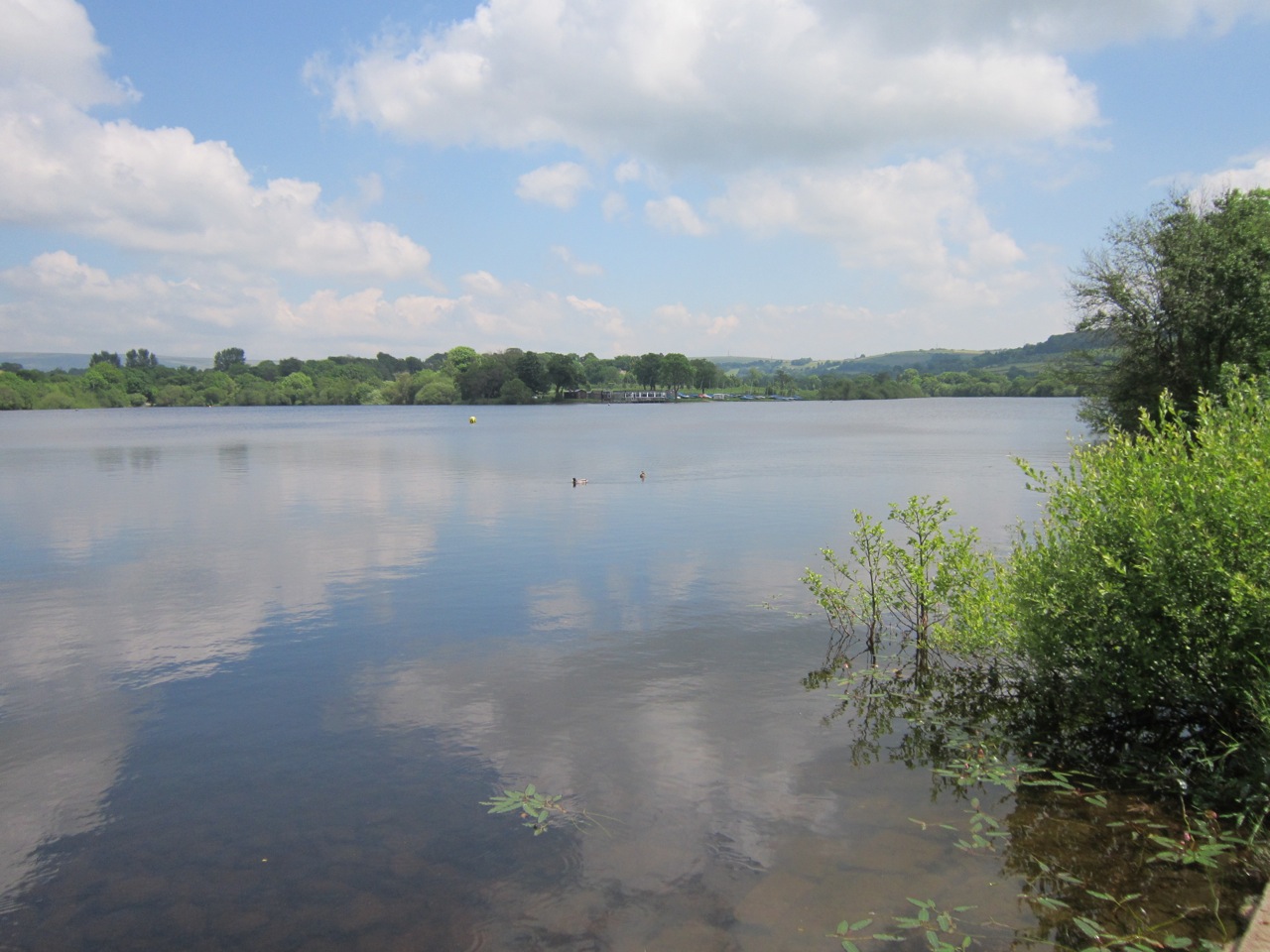 reasboro Dam by Jimmy Carol			
					</div><!-- .entry-content -->
		
		<footer>
		
		
		
					
					</footer><!-- .entry-meta -->
	</article><!-- #post -->
				
											
				
		
<hr class=