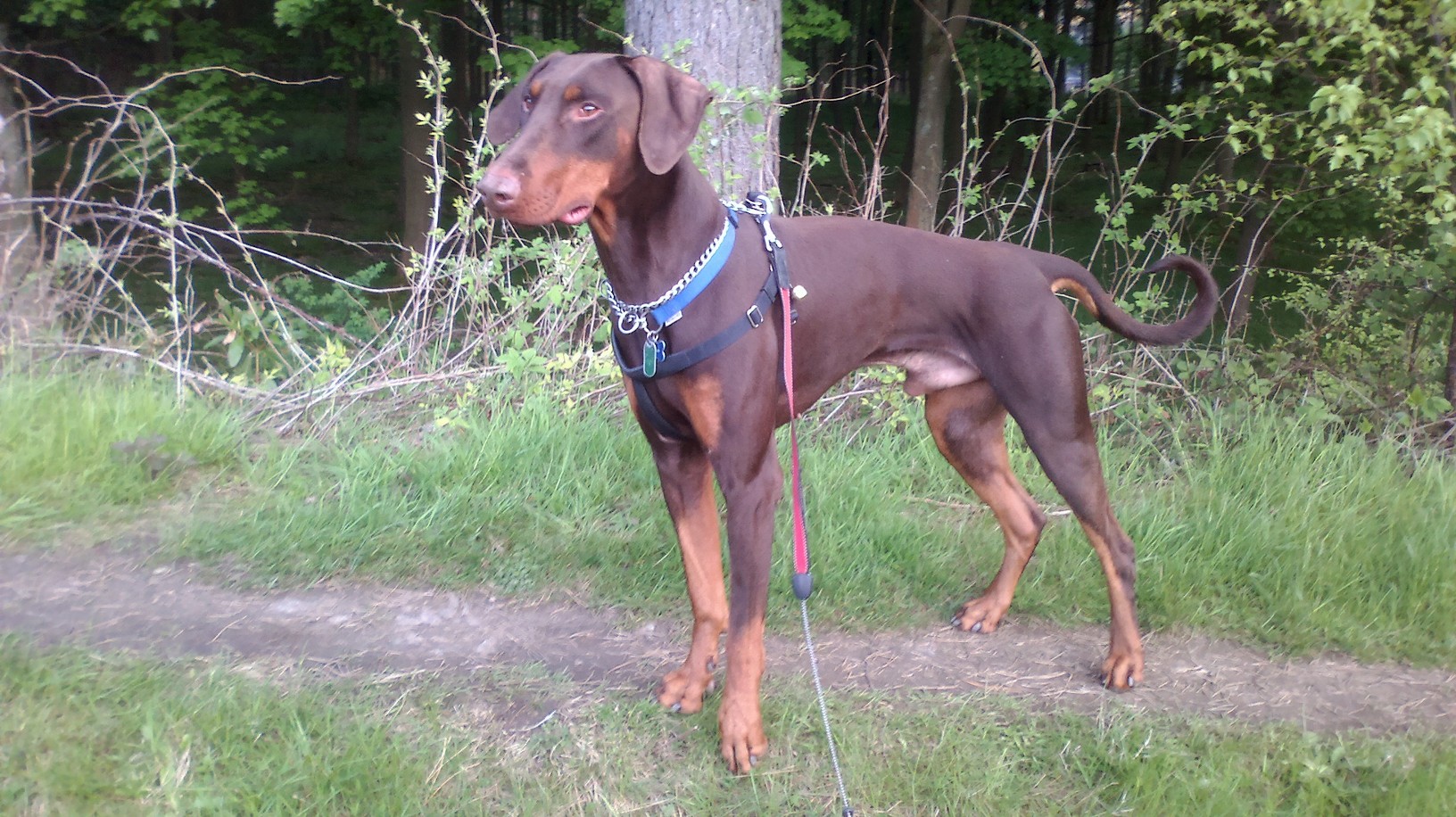 Kane at Derwent. Photo by Caroline			
					</div><!-- .entry-content -->
		
		<footer>
		
		
		
					
					</footer><!-- .entry-meta -->
	</article><!-- #post -->
				
											
				
		
<hr class=