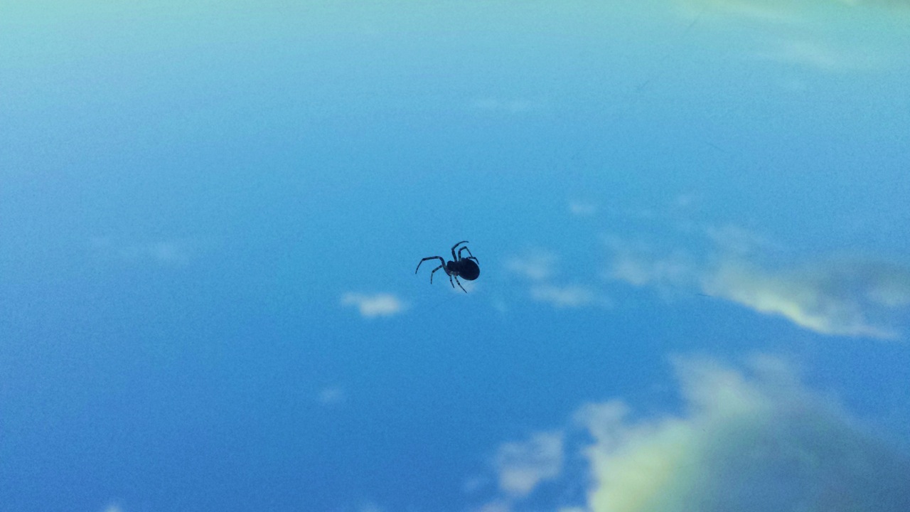 Photo from the field			
					</div><!-- .entry-content -->
		
		<footer>
		
		
		
					
					</footer><!-- .entry-meta -->
	</article><!-- #post -->
				
											
				
		
<hr class=