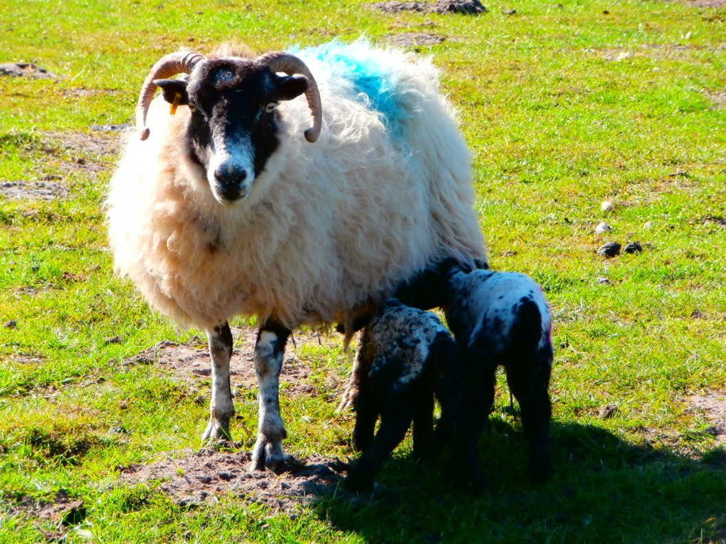 By Jimm Carol			
					</div><!-- .entry-content -->
		
		<footer>
		
		
		
					
					</footer><!-- .entry-meta -->
	</article><!-- #post -->
				
											
				
		
<hr class=