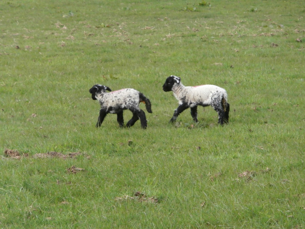 By Jimmy Carol			
					</div><!-- .entry-content -->
		
		<footer>
		
		
		
					
					</footer><!-- .entry-meta -->
	</article><!-- #post -->
				
											
				
		
<hr class=