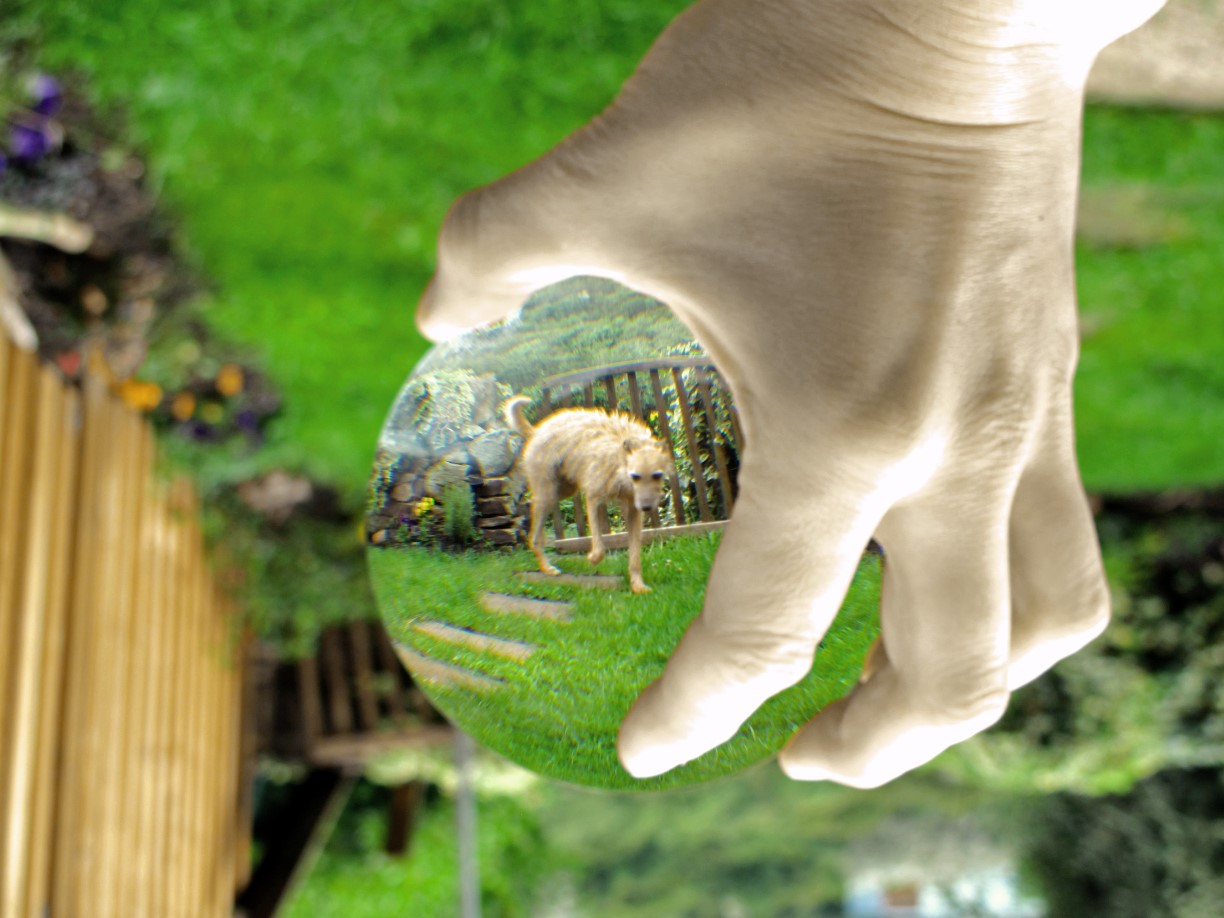 Deepcar Dog			
					</div><!-- .entry-content -->
		
		<footer>
		
		
		
					
					</footer><!-- .entry-meta -->
	</article><!-- #post -->
				
											
				
		
<hr class=