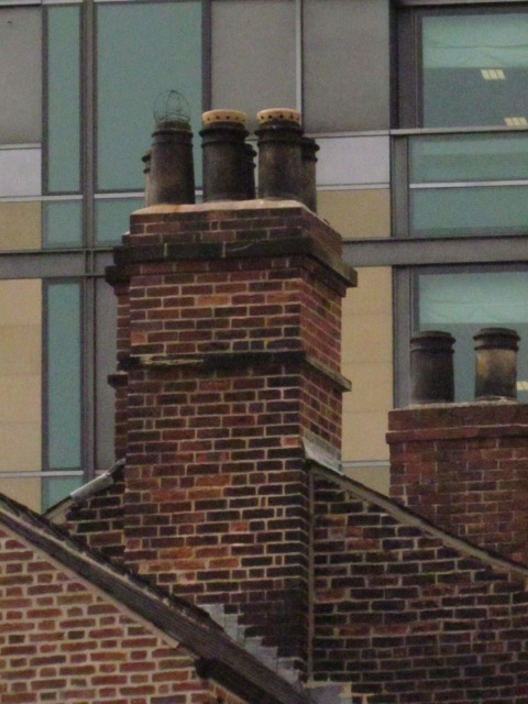 Photo from the field			
					</div><!-- .entry-content -->
		
		<footer>
		
		
		
					
					</footer><!-- .entry-meta -->
	</article><!-- #post -->
				
											
				
		
<hr class=