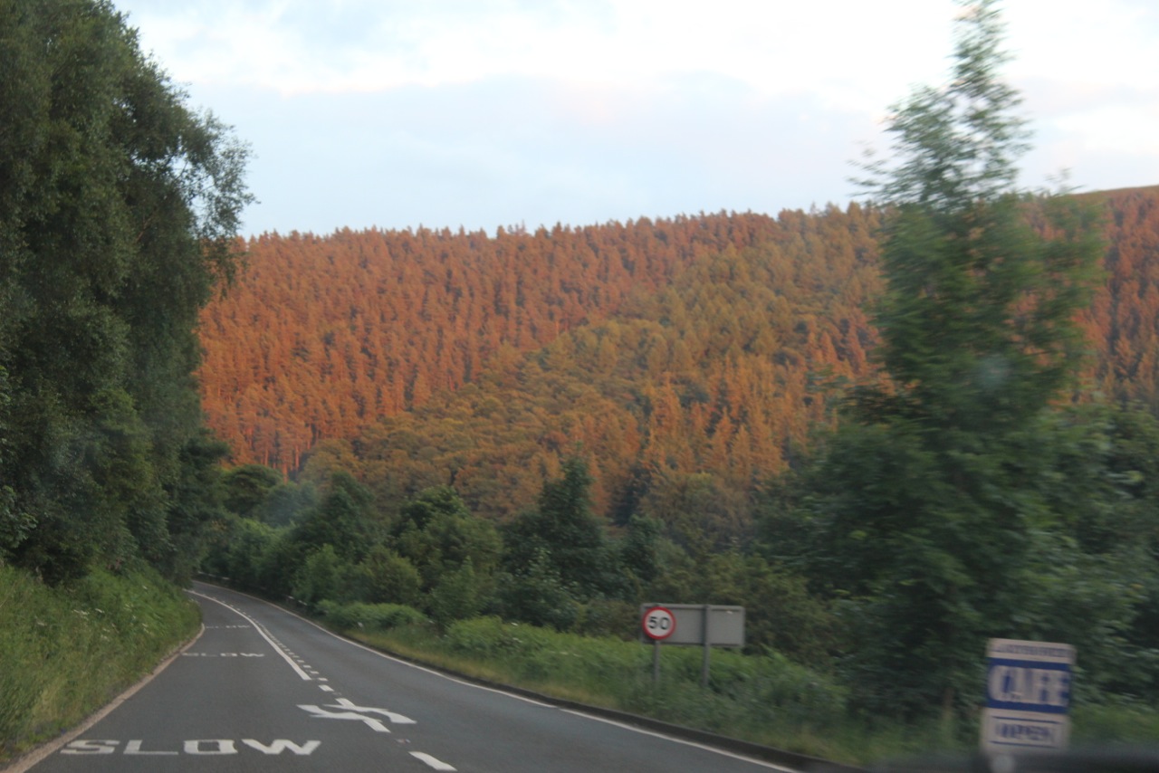 Photo from the field			
					</div><!-- .entry-content -->
		
		<footer>
		
		
		
					
					</footer><!-- .entry-meta -->
	</article><!-- #post -->
				
											
				
		
<hr class=