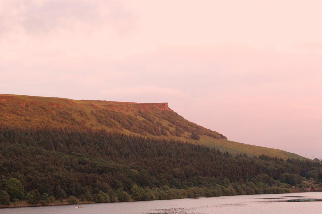 Photo from the field			
					</div><!-- .entry-content -->
		
		<footer>
		
		
		
					
					</footer><!-- .entry-meta -->
	</article><!-- #post -->
				
											
				
		
<hr class=