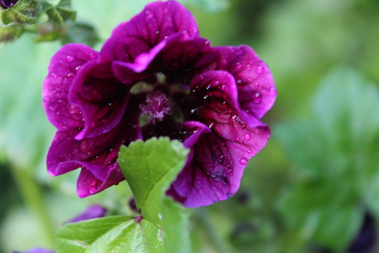 Photo from the field			
					</div><!-- .entry-content -->
		
		<footer>
		
		
		
					
					</footer><!-- .entry-meta -->
	</article><!-- #post -->
				
											
				
		
<hr class=