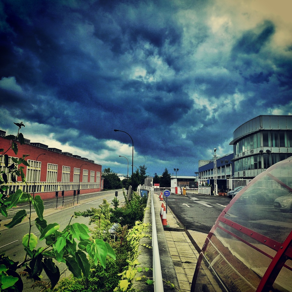 Photo from the field			
					</div><!-- .entry-content -->
		
		<footer>
		
		
		
					
					</footer><!-- .entry-meta -->
	</article><!-- #post -->
				
											
				
		
<hr class=