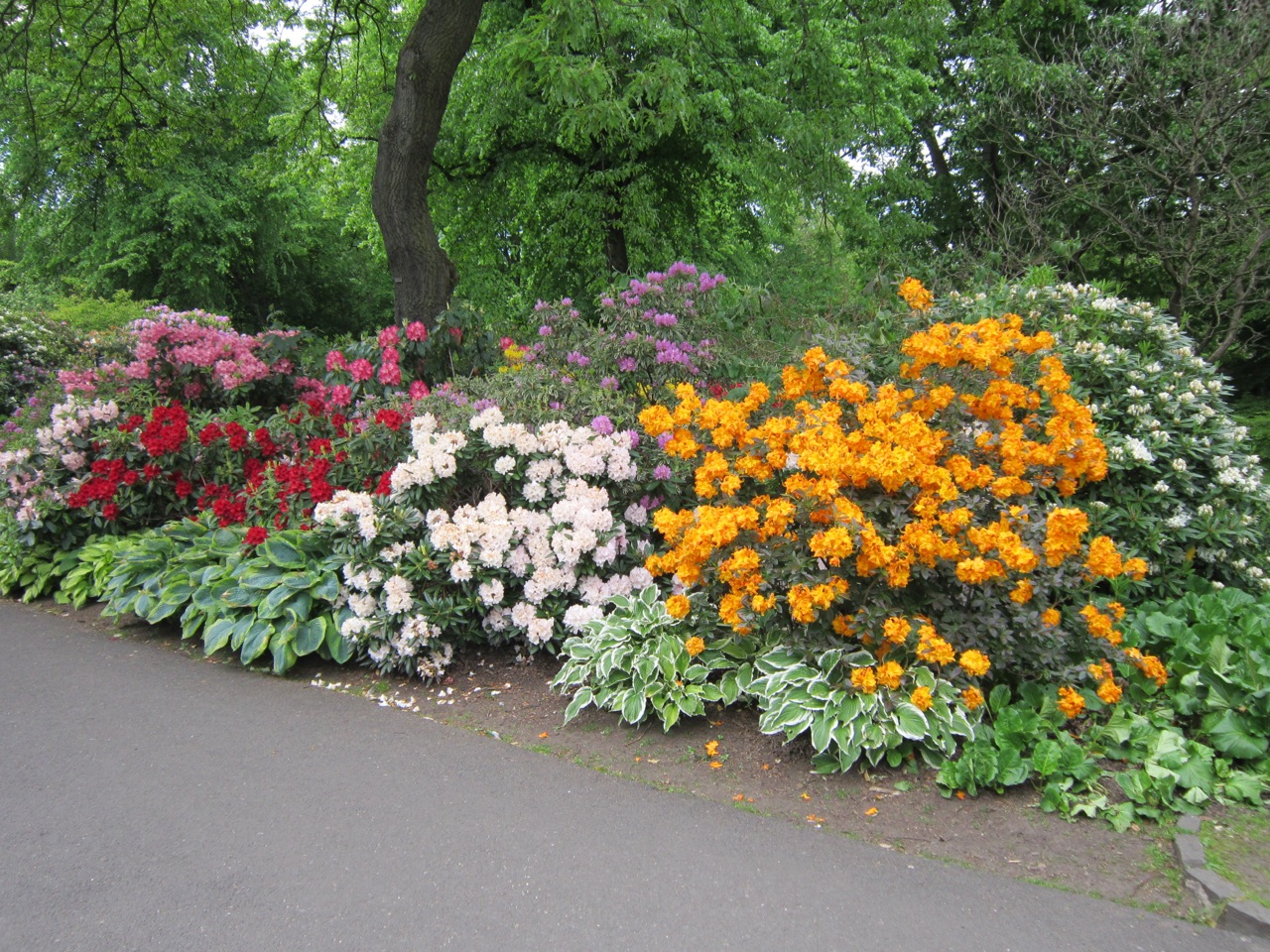 Botanical Gardens By Jimmy Carol			
					</div><!-- .entry-content -->
		
		<footer>
		
		
		
					
					</footer><!-- .entry-meta -->
	</article><!-- #post -->
				
											
				
		
<hr class=