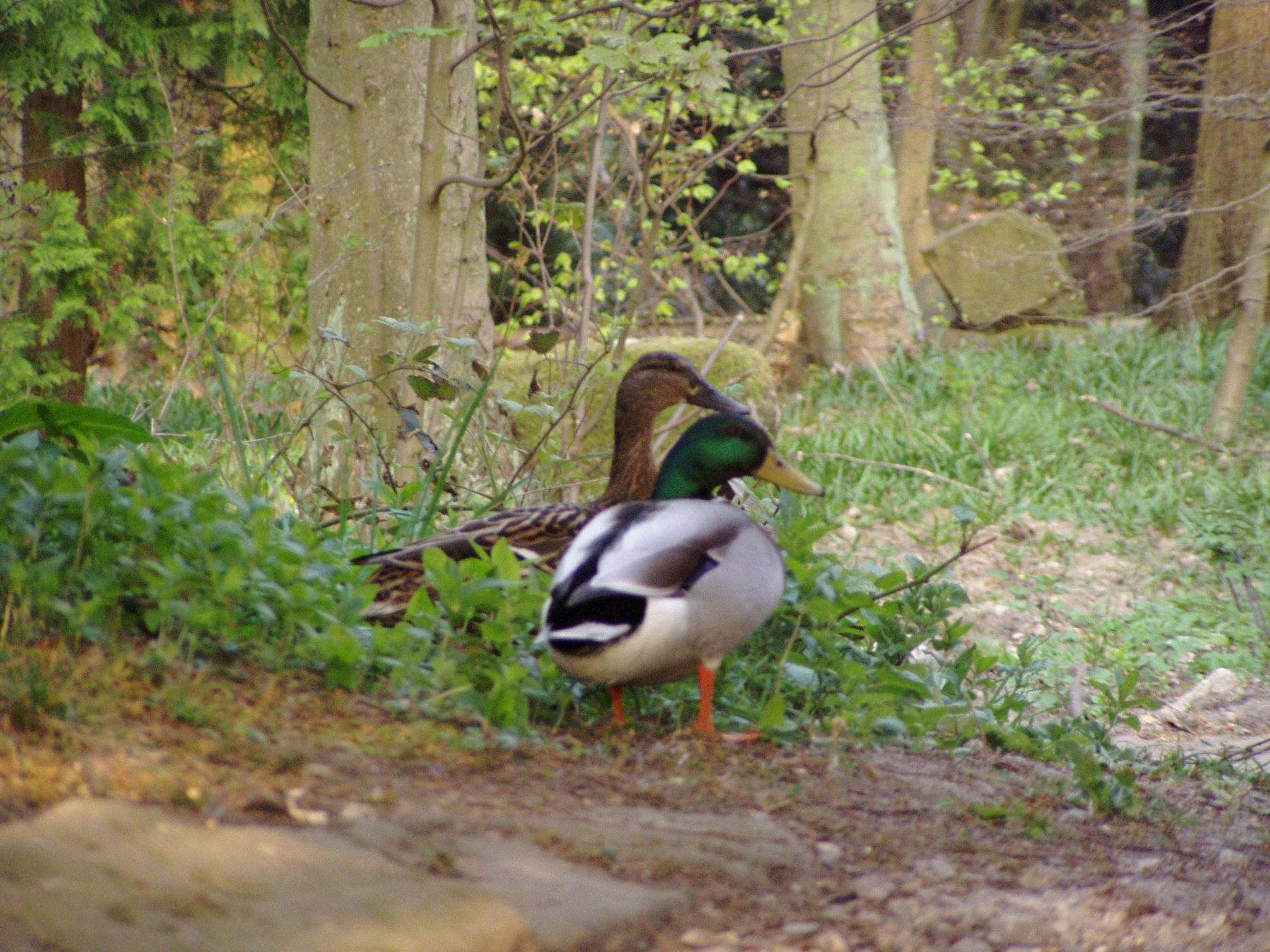 Photo from the field			
					</div><!-- .entry-content -->
		
		<footer>
		
		
		
					
					</footer><!-- .entry-meta -->
	</article><!-- #post -->
				
											
				
		
<hr class=