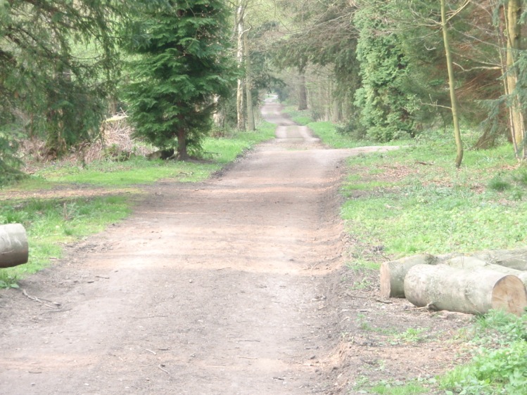 Photo from the field			
					</div><!-- .entry-content -->
		
		<footer>
		
		
		
					
					</footer><!-- .entry-meta -->
	</article><!-- #post -->
				
											
				
		
<hr class=