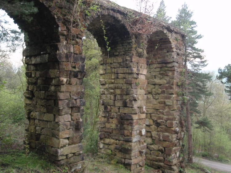 Photo from the field			
					</div><!-- .entry-content -->
		
		<footer>
		
		
		
					
					</footer><!-- .entry-meta -->
	</article><!-- #post -->
				
											
				
		
<hr class=