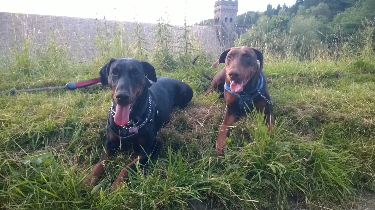 Ella and Kane at Derwent. Photograph by Caroline			
					</div><!-- .entry-content -->
		
		<footer>
		
		
		
					
					</footer><!-- .entry-meta -->
	</article><!-- #post -->
				
											
				
		
<hr class=