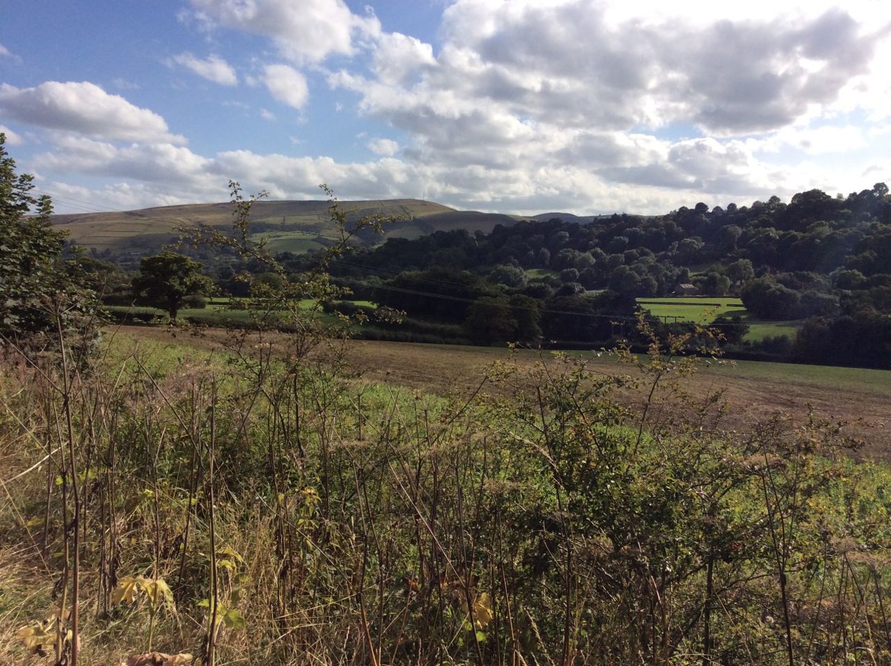 Banford by Jimmy Carol			
					</div><!-- .entry-content -->
		
		<footer>
		
		
		
					
					</footer><!-- .entry-meta -->
	</article><!-- #post -->
				
											
				
		
<hr class=