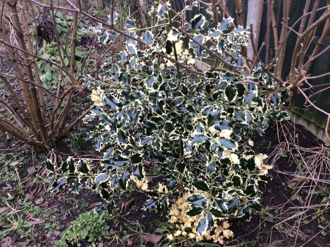 By Jimmy Carol			
					</div><!-- .entry-content -->
		
		<footer>
		
		
		
					
					</footer><!-- .entry-meta -->
	</article><!-- #post -->
				
											
				
		
<hr class=