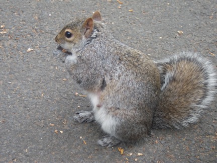 Wooley Woods by Jimmy Carol			
					</div><!-- .entry-content -->
		
		<footer>
		
		
		
					
					</footer><!-- .entry-meta -->
	</article><!-- #post -->
				
											
				
		
<hr class=