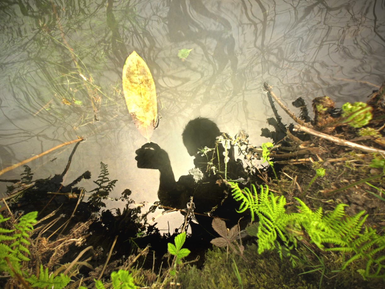 Chatsworth Pond			
					</div><!-- .entry-content -->
		
		<footer>
		
		
		
					
					</footer><!-- .entry-meta -->
	</article><!-- #post -->
				
											
				
		
<hr class=