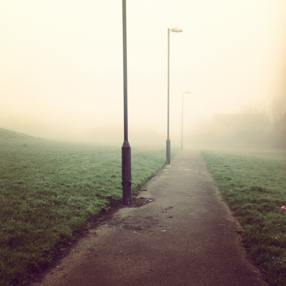 Photo from the field			
					</div><!-- .entry-content -->
		
		<footer>
		
		
		
					
					</footer><!-- .entry-meta -->
	</article><!-- #post -->
				
											
				
		
<hr class=