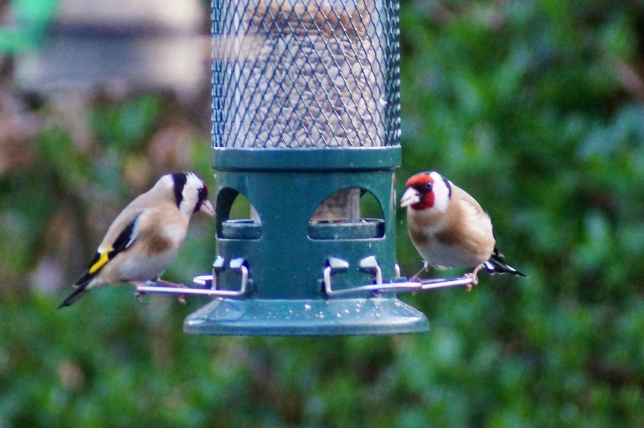 photo			
					</div><!-- .entry-content -->
		
		<footer>
		
		
		
					
					</footer><!-- .entry-meta -->
	</article><!-- #post -->
				
											
				
		
<hr class=