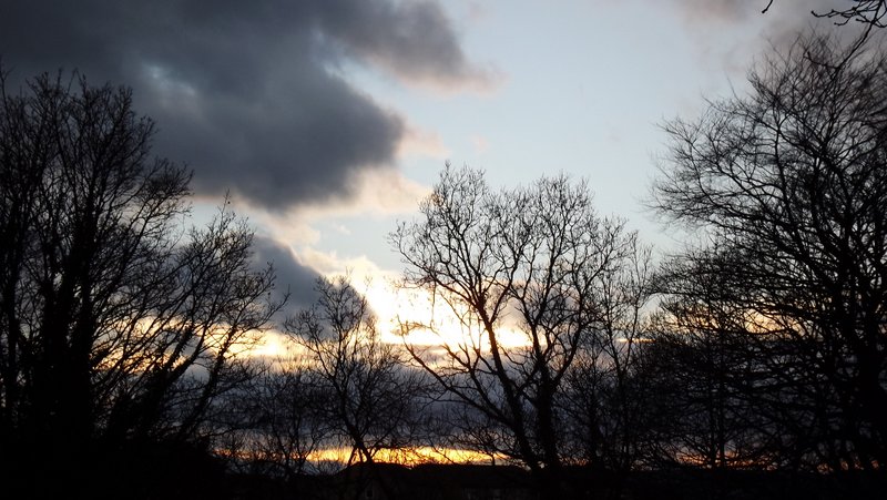 a picture for you. In Norfolk Park. Fom Dave Bunting.			
					</div><!-- .entry-content -->
		
		<footer>
		
		
		
					
					</footer><!-- .entry-meta -->
	</article><!-- #post -->
				
											
				
		
<hr class=