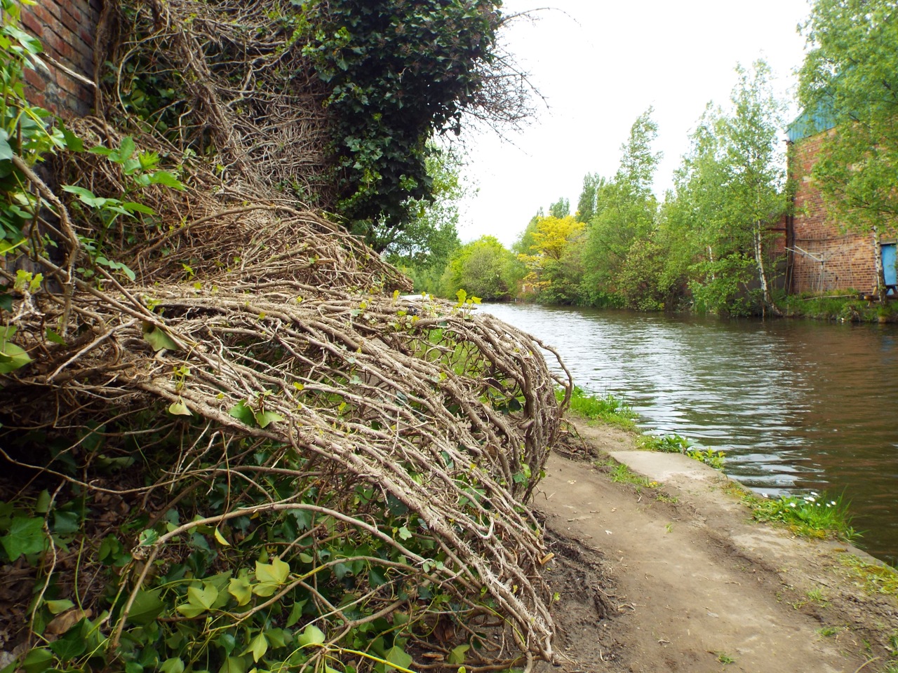 Photo			
					</div><!-- .entry-content -->
		
		<footer>
		
		
		
					
					</footer><!-- .entry-meta -->
	</article><!-- #post -->
				
											
				
		
<hr class=