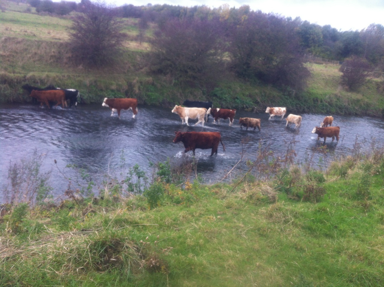 Photo			
					</div><!-- .entry-content -->
		
		<footer>
		
		
		
					
					</footer><!-- .entry-meta -->
	</article><!-- #post -->
				
											
				
		
<hr class=