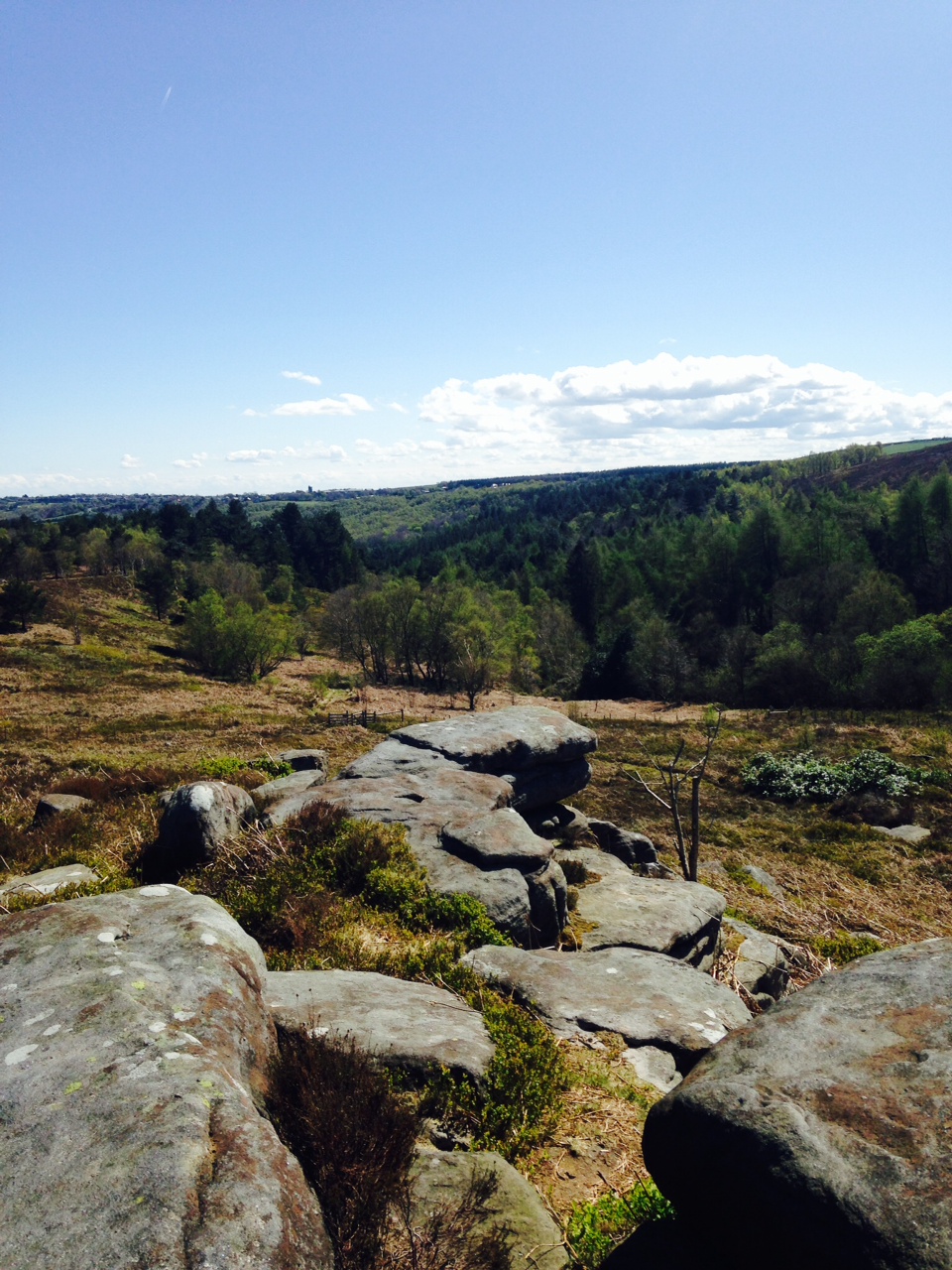 A photo for shefflive TV			
					</div><!-- .entry-content -->
		
		<footer>
		
		
		
					
					</footer><!-- .entry-meta -->
	</article><!-- #post -->
				
											
				
		
<hr class=