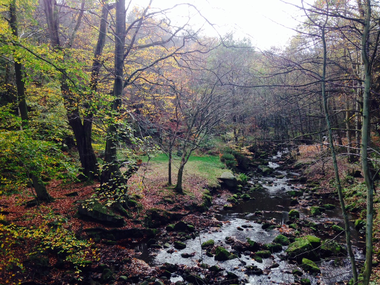 Photo for shefflive TV			
					</div><!-- .entry-content -->
		
		<footer>
		
		
		
					
					</footer><!-- .entry-meta -->
	</article><!-- #post -->
				
											
				
		
<hr class=