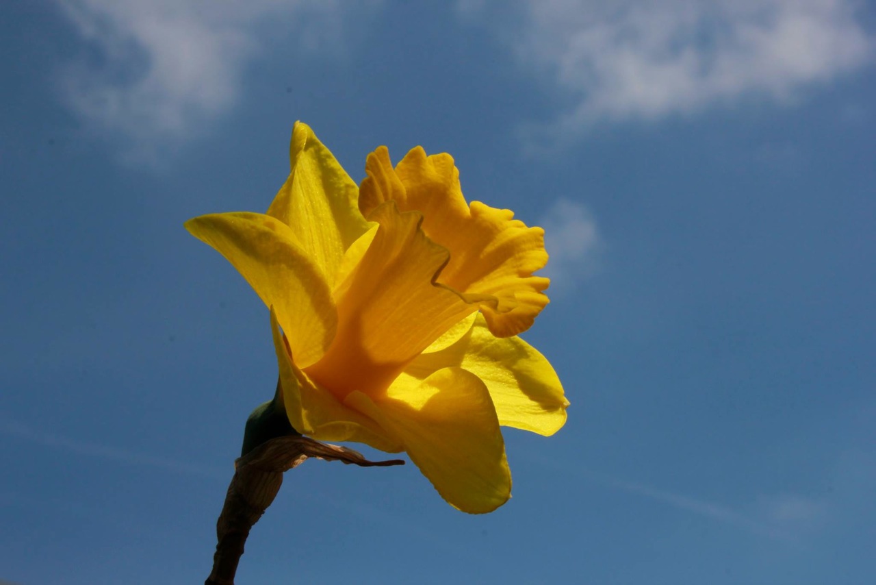 Photo			
					</div><!-- .entry-content -->
		
		<footer>
		
		
		
					
					</footer><!-- .entry-meta -->
	</article><!-- #post -->
				
											
				
		
<hr class=