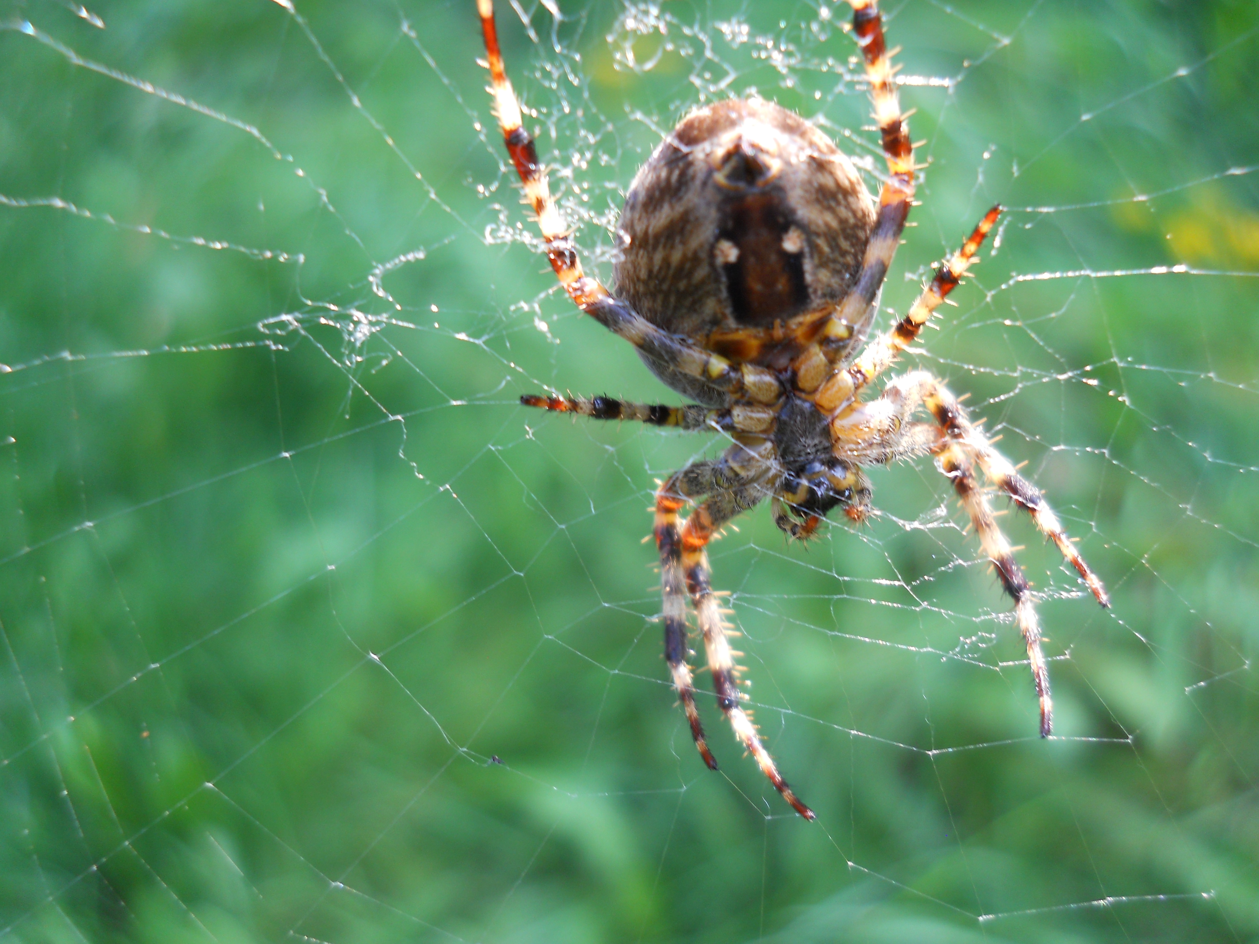 Photos			
					</div><!-- .entry-content -->
		
		<footer>
		
		
		
					
					</footer><!-- .entry-meta -->
	</article><!-- #post -->
				
											
				
		
<hr class=