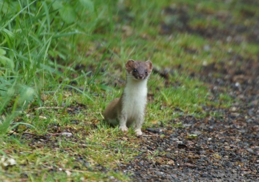 photo			
					</div><!-- .entry-content -->
		
		<footer>
		
		
		
					
					</footer><!-- .entry-meta -->
	</article><!-- #post -->
				
											
				
		
<hr class=