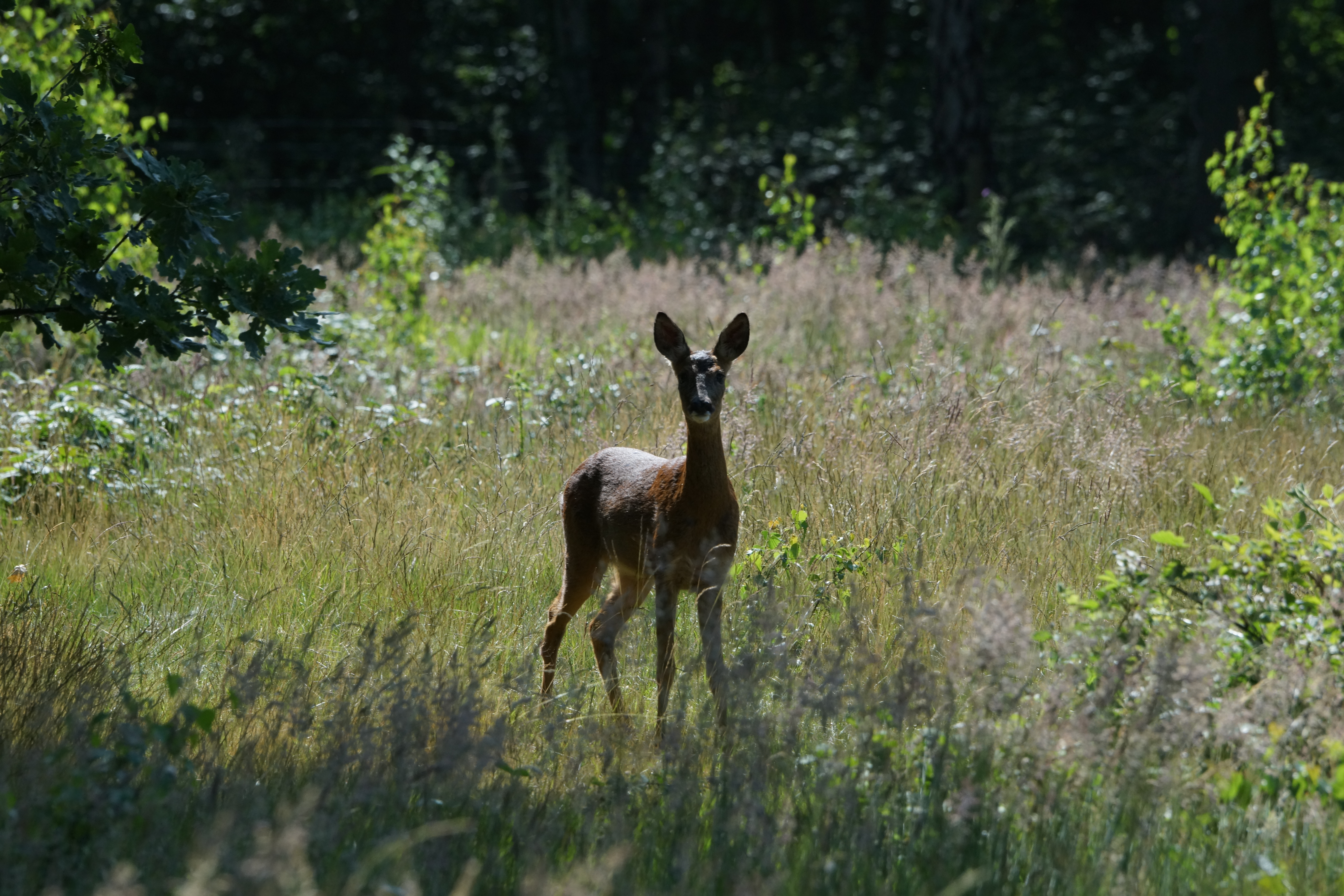 another photo			
					</div><!-- .entry-content -->
		
		<footer>
		
		
		
					
					</footer><!-- .entry-meta -->
	</article><!-- #post -->
				
											
				
		
<hr class=