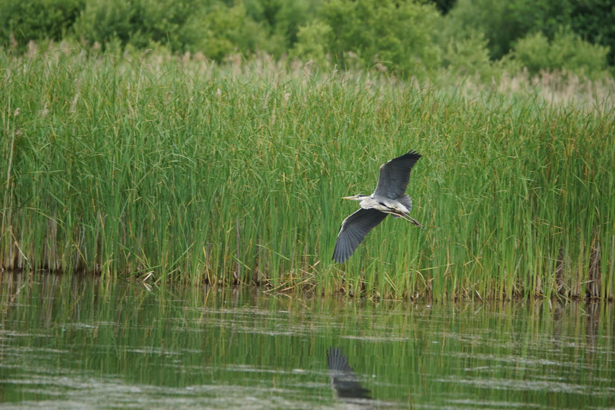 and yet another photo			
					</div><!-- .entry-content -->
		
		<footer>
		
		
		
					
					</footer><!-- .entry-meta -->
	</article><!-- #post -->
				
											
				
		
<hr class=