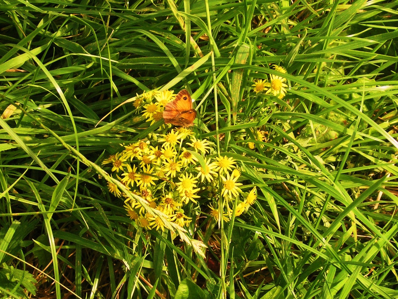 Photos			
					</div><!-- .entry-content -->
		
		<footer>
		
		
		
					
					</footer><!-- .entry-meta -->
	</article><!-- #post -->
				
											
				
		
<hr class=