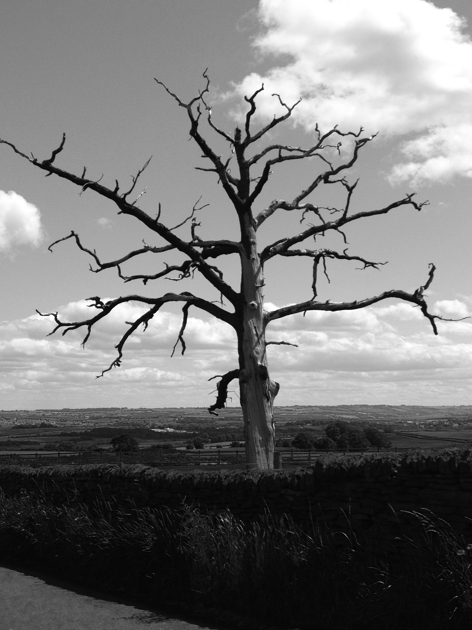 Photograph by phill Elliot			
					</div><!-- .entry-content -->
		
		<footer>
		
		
		
					
					</footer><!-- .entry-meta -->
	</article><!-- #post -->
				
											
				
		
<hr class=