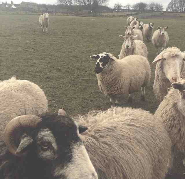 Photos for TV			
					</div><!-- .entry-content -->
		
		<footer>
		
		
		
					
					</footer><!-- .entry-meta -->
	</article><!-- #post -->
				
											
				
		
<hr class=