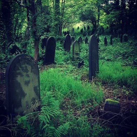 Wardsend Cemetery, Sheffield.			
					</div><!-- .entry-content -->
		
		<footer>
		
		
		
					
					</footer><!-- .entry-meta -->
	</article><!-- #post -->
				
											
				
		
<hr class=