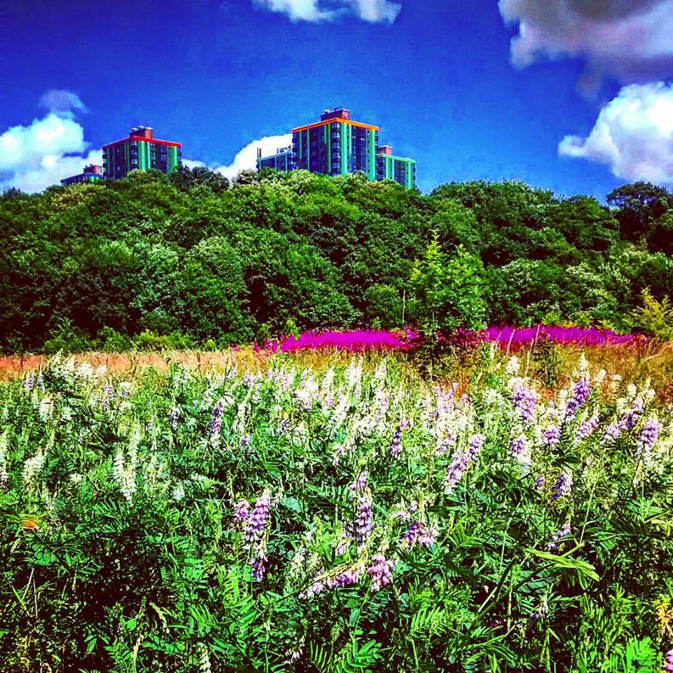 Callow Mount flats behind Gleadless woods.			
					</div><!-- .entry-content -->
		
		<footer>
		
		
		
					
					</footer><!-- .entry-meta -->
	</article><!-- #post -->
				
											
				
		
<hr class=