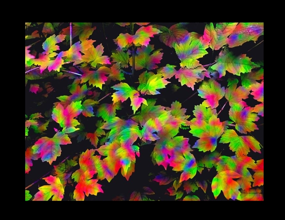 Alan Blay at Oughtibridge			
					</div><!-- .entry-content -->
		
		<footer>
		
		
		
					
					</footer><!-- .entry-meta -->
	</article><!-- #post -->
				
											
				
		
<hr class=