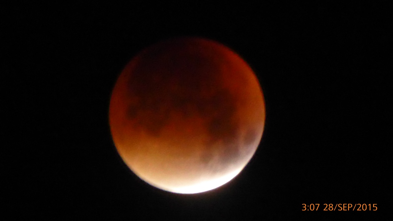 Bloodmoon			
					</div><!-- .entry-content -->
		
		<footer>
		
		
		
					
					</footer><!-- .entry-meta -->
	</article><!-- #post -->
				
											
				
		
<hr class=