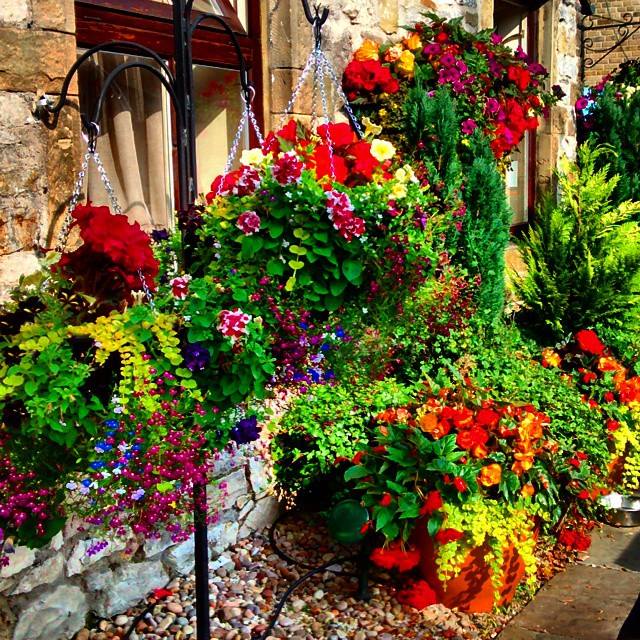 Flowers at Bakewell.			
					</div><!-- .entry-content -->
		
		<footer>
		
		
		
					
					</footer><!-- .entry-meta -->
	</article><!-- #post -->
				
											
				
		
<hr class=