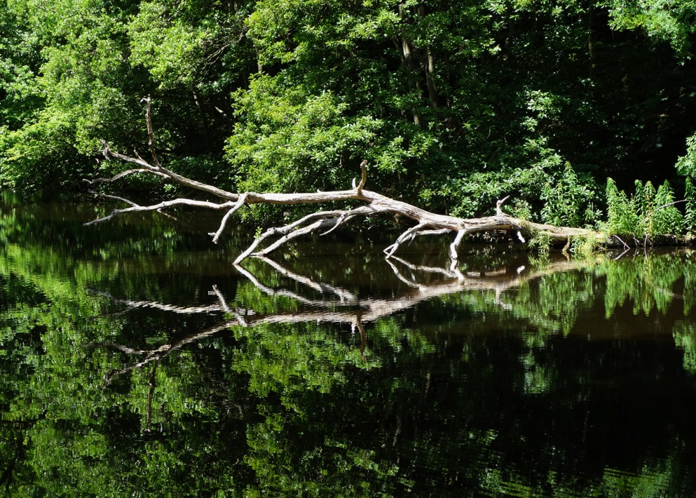 Background Photos			
					</div><!-- .entry-content -->
		
		<footer>
		
		
		
					
					</footer><!-- .entry-meta -->
	</article><!-- #post -->
				
											
				
		
<hr class=