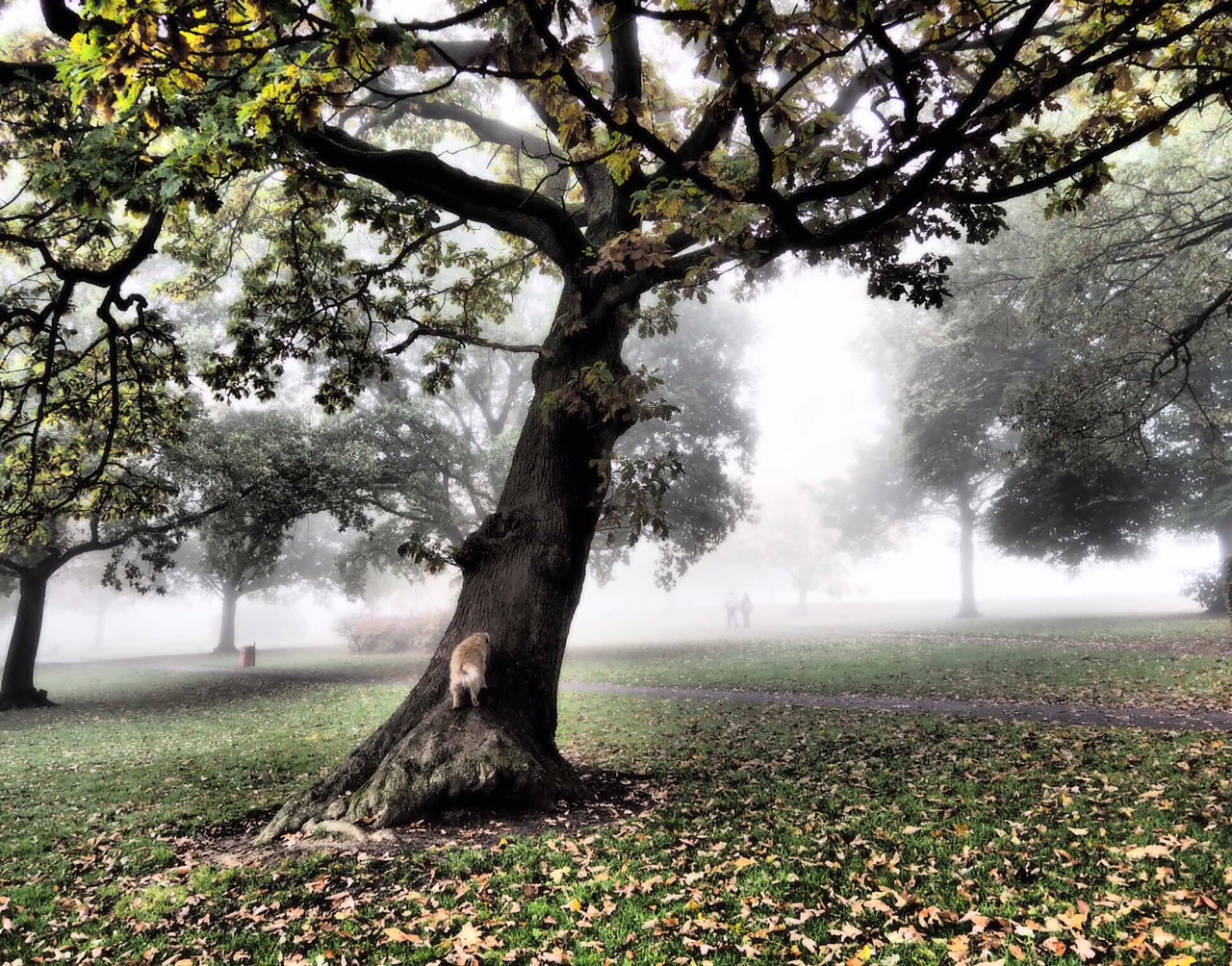 Graves park			
					</div><!-- .entry-content -->
		
		<footer>
		
		
		
					
					</footer><!-- .entry-meta -->
	</article><!-- #post -->
				
											
				
		
<hr class=