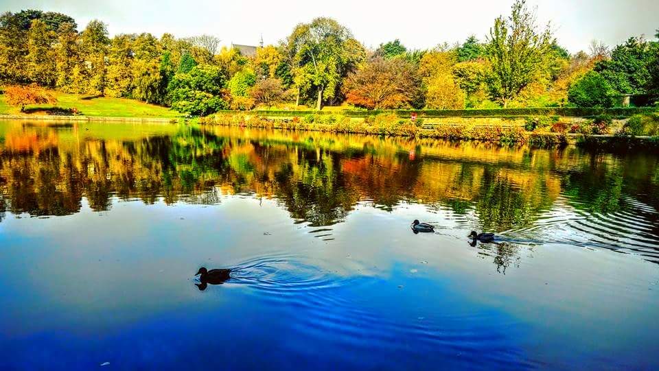 Crookes Valley Park			
					</div><!-- .entry-content -->
		
		<footer>
		
		
		
					
					</footer><!-- .entry-meta -->
	</article><!-- #post -->
				
											
				
		
<hr class=
