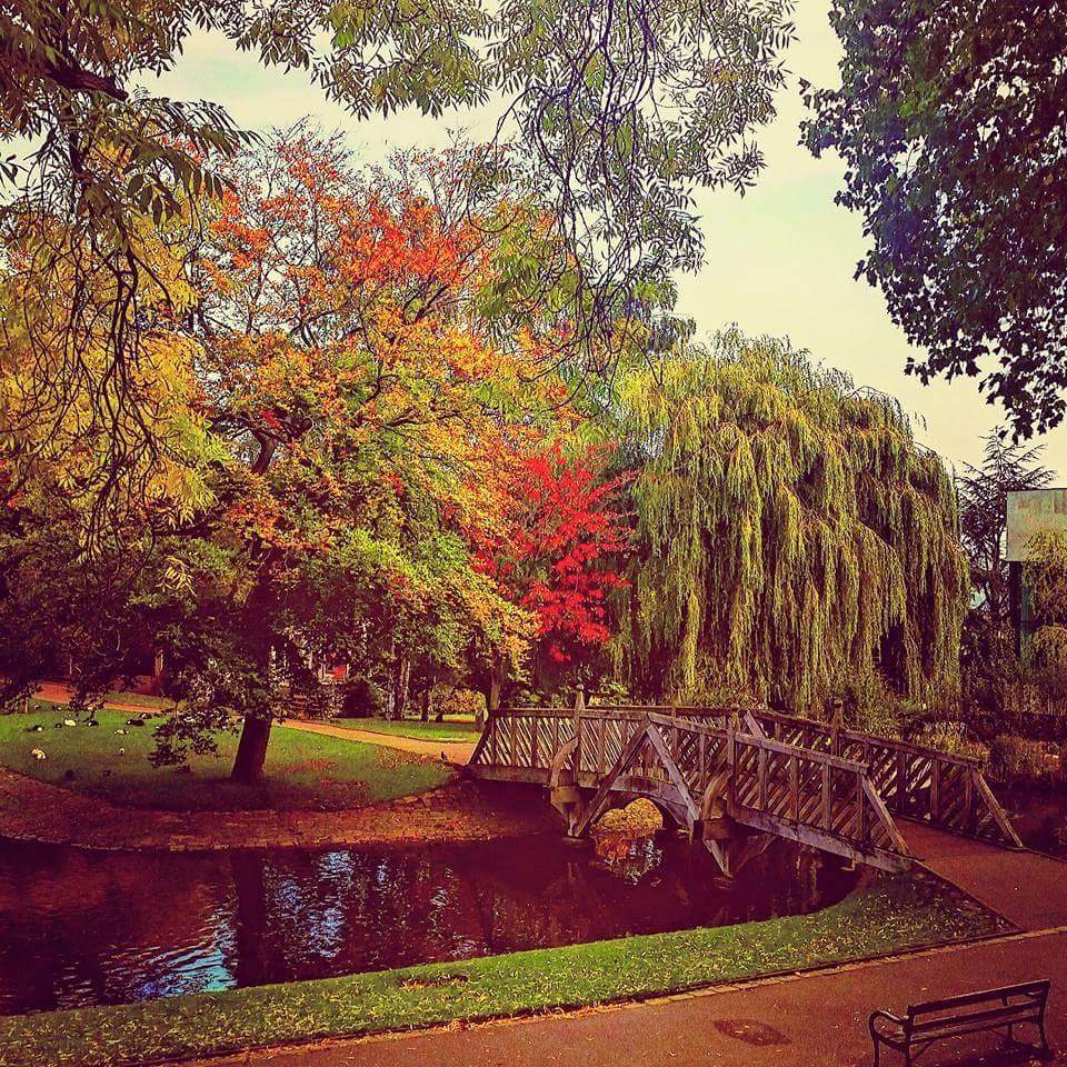 Weston Park			
					</div><!-- .entry-content -->
		
		<footer>
		
		
		
					
					</footer><!-- .entry-meta -->
	</article><!-- #post -->
				
											
				
		
<hr class=